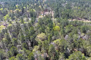 15628 Wood Grv Wy, Willis, TX 77378 - Photo 18