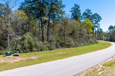 15628 Wood Grove Way, Willis, TX 77378 - Photo 24