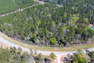 15628 Wood Grove Way, Willis, TX 77378 - Photo 4