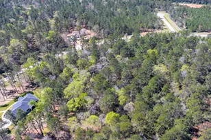 15628 Wood Grv Wy, Willis, TX 77378 - Photo 10