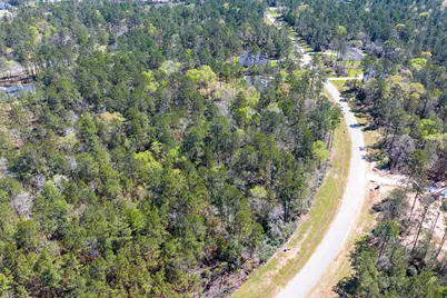 15628 Wood Grove Way, Willis, TX 77378 - Photo 6