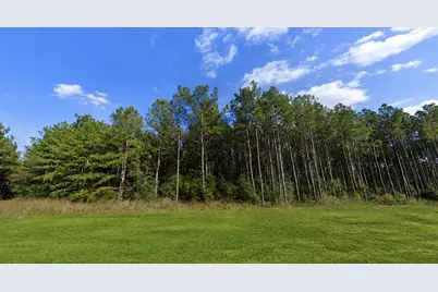 12684 Oak Barrel Road, Willis, TX 77378 - Photo 4