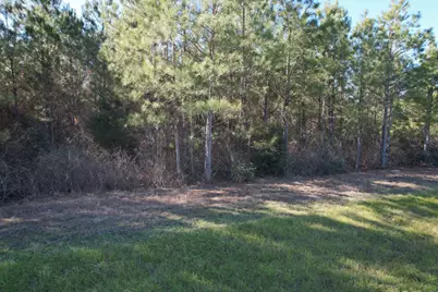 15991 Wood Grove Way, Willis, TX 77378 - Photo 2