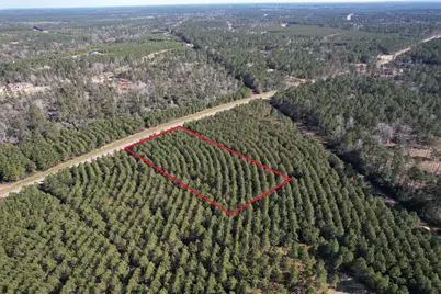 15991 Wood Grove Way, Willis, TX 77378 - Photo 6