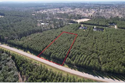 15991 Wood Grove Way, Willis, TX 77378 - Photo 4