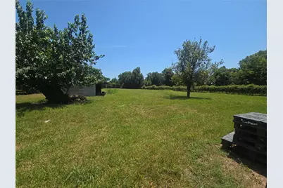 817 Masonic Oak Drive, Brazoria, TX 77422 - Photo 28