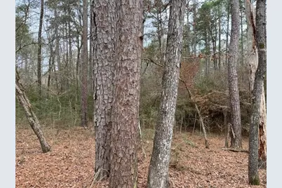 Hall Survey, Colmesneil, TX 75938 - Photo 2