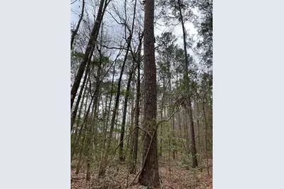 Hall Survey, Colmesneil, TX 75938 - Photo 16