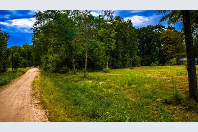 Tbd Forest Drive, Livingston, TX 77351 - Photo 1