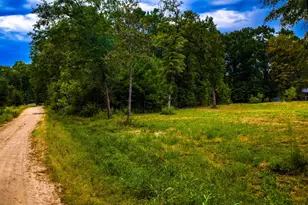 Tbd Forest Dr, Livingston, TX 77351 - Photo 1