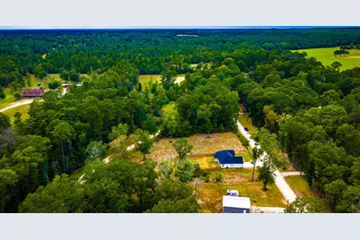 Tbd Forest Drive, Livingston, TX 77351 - Photo 4