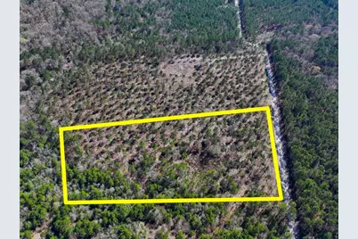 1 Boontown Road, Trinity, TX 75845 - Photo 12