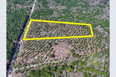 1 Boontown Road, Trinity, TX 75845 - Photo 2