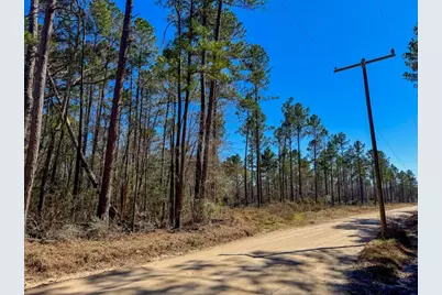 1 Boontown Road, Trinity, TX 75845 - Photo 4