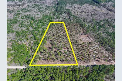 1 Boontown Road, Trinity, TX 75845 - Photo 1