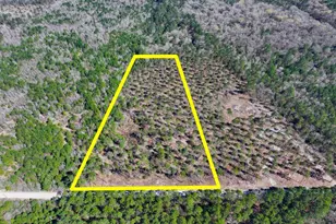 1 Boontown Rd, Trinity, TX 75845 - Photo 1