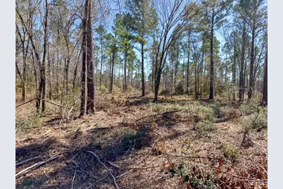 1 Boontown Road, Trinity, TX 75845 - Photo 6