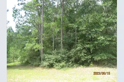 30075 Round Up Drive, Waller, TX 77484 - Photo 8