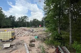 14321 Strausie, Montgomery, TX 77302 - Photo 6