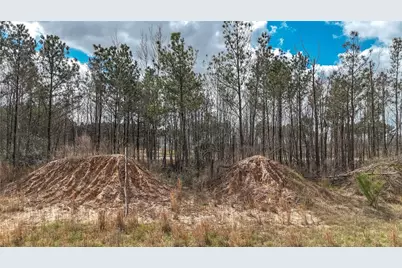 8121 Road 5878, Cleveland, TX 77327 - Photo 10