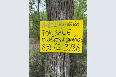 24802 Marks Road, Splendora, TX 77372 - Photo 6