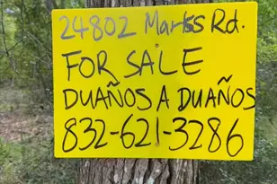 24802 Marks Rd, Splendora, TX 77372 - Photo 6