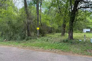 24802 Marks Rd, Splendora, TX 77372 - Photo 2