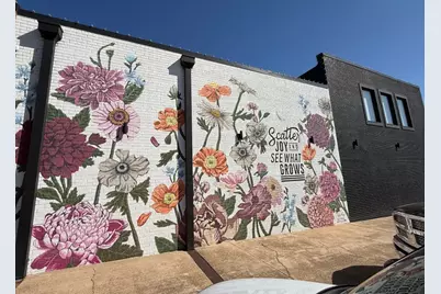 432 Young Street, Livingston, TX 77351 - Photo 30