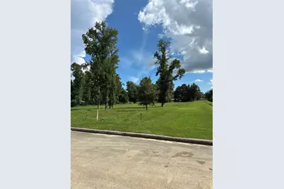 1 Lovers Lane, Dayton, TX 77535 - Photo 1