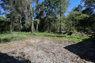 3005 Windmill Ln, Montgomery, TX 77316 - Photo 8