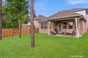 218 Woods Rose Ct, Conroe, TX 77318 - Photo 24