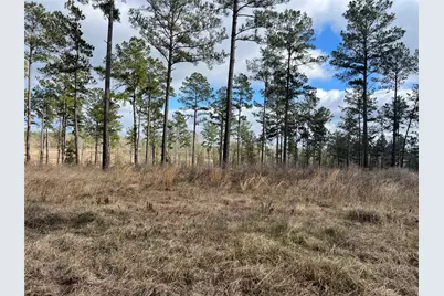 Tbd 7 Red Lowe Road, Livingston, TX 77351 - Photo 1