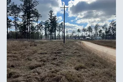Tbd 7 Red Lowe Road, Livingston, TX 77351 - Photo 6