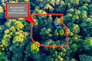 477 Lakeshore Dr, Hemphill, TX 75948 - Photo 6