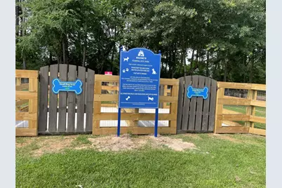 103 Sunrise Haven Drive, Montgomery, TX 77316 - Photo 48