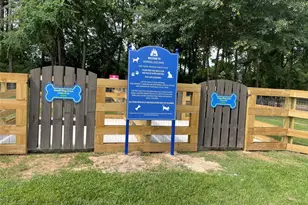 103 Sunrise Haven Dr, Montgomery, TX 77316 - Photo 48