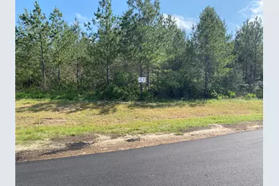 11873 Moss Grove Court, Willis, TX 77378 - Photo 1