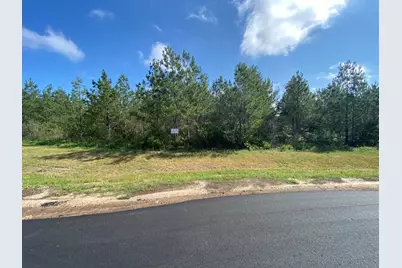 11873 Moss Grove Court, Willis, TX 77378 - Photo 6