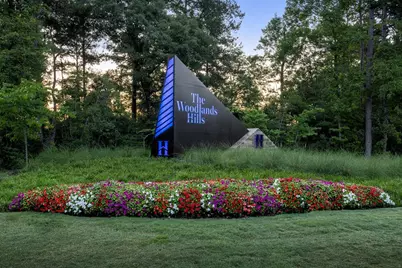 119 Rustica Bloom Trail, Willis, TX 77318 - Photo 48