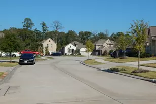 9419 Thornbluff Crk Ct, Houston, TX 77365 - Photo 8