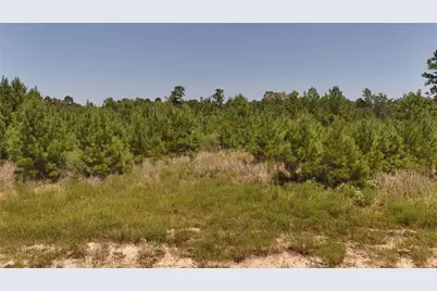 Tract 100 Robertson Road, Lovelady, TX 75851 - Photo 6
