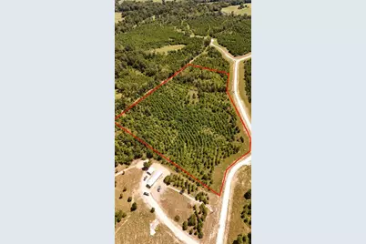 Tract 100 Robertson Road, Lovelady, TX 75851 - Photo 4
