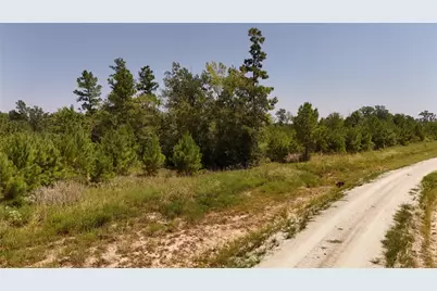 Tract 100 Robertson Road, Lovelady, TX 75851 - Photo 8