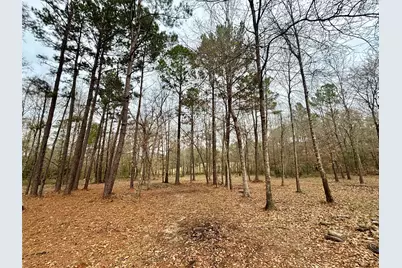 1580 Fm 1745 N, Colmesneil, TX 75938 - Photo 32