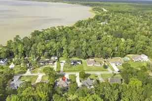 223 Oetken W, Anahuac, TX 77514 - Photo 48