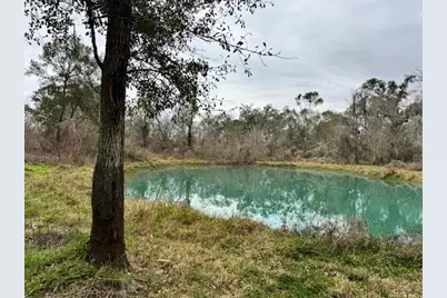 3747 County Road 611, Angleton, TX 77515 - Photo 10