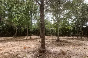 13553 County Rd 446, Navasota, TX 77868 - Photo 1