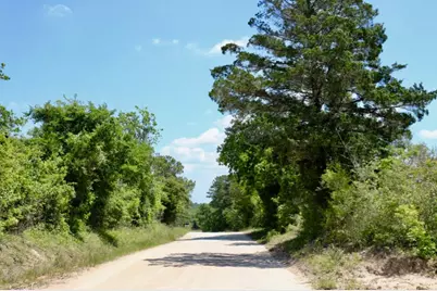 13553 County Road 446, Navasota, TX 77868 - Photo 26