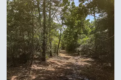 13553 County Road 446, Navasota, TX 77868 - Photo 6