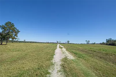 1275 Castlewood Road, Livingston, TX 77351 - Photo 18
